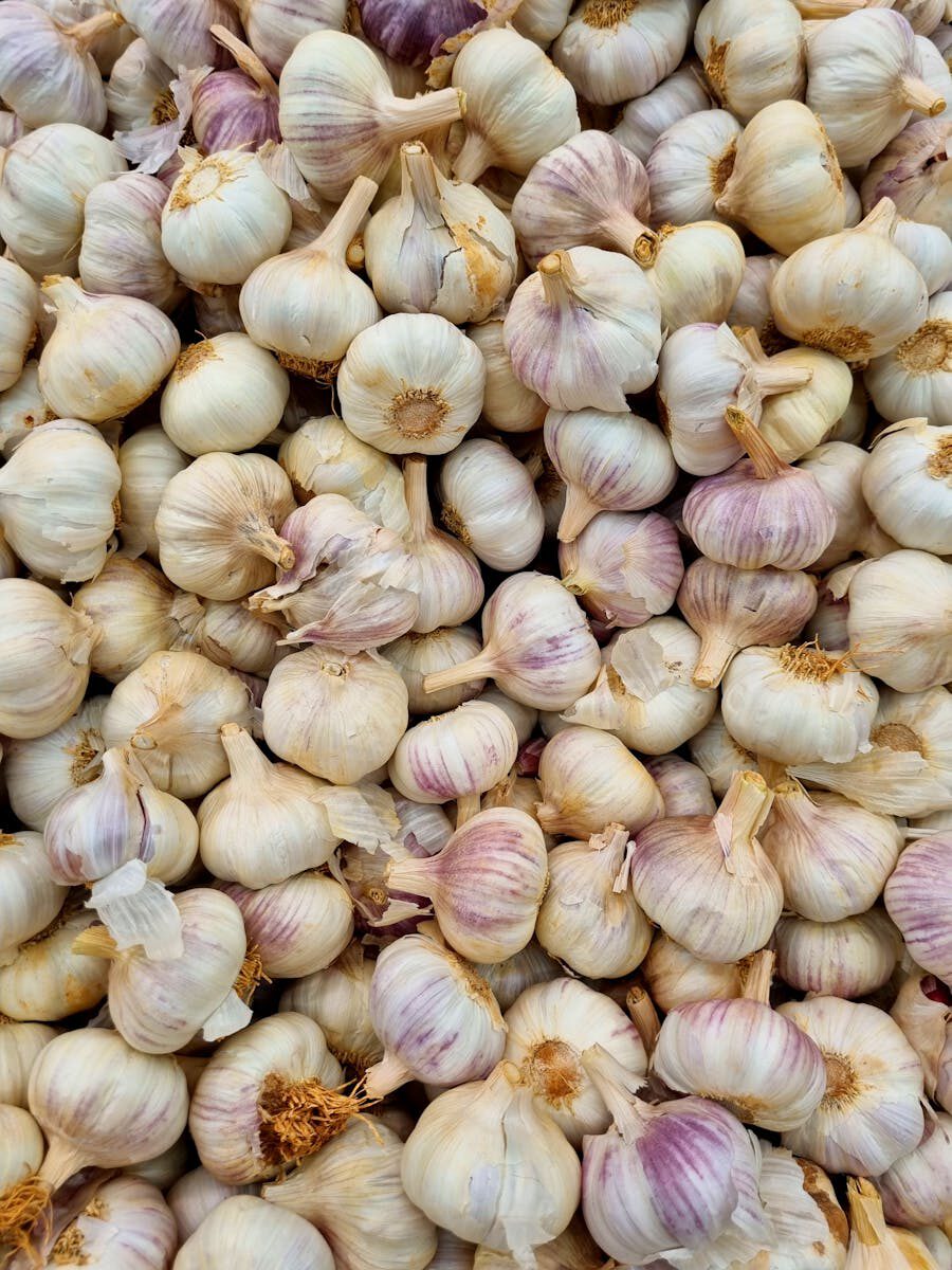 Fresh Garlic