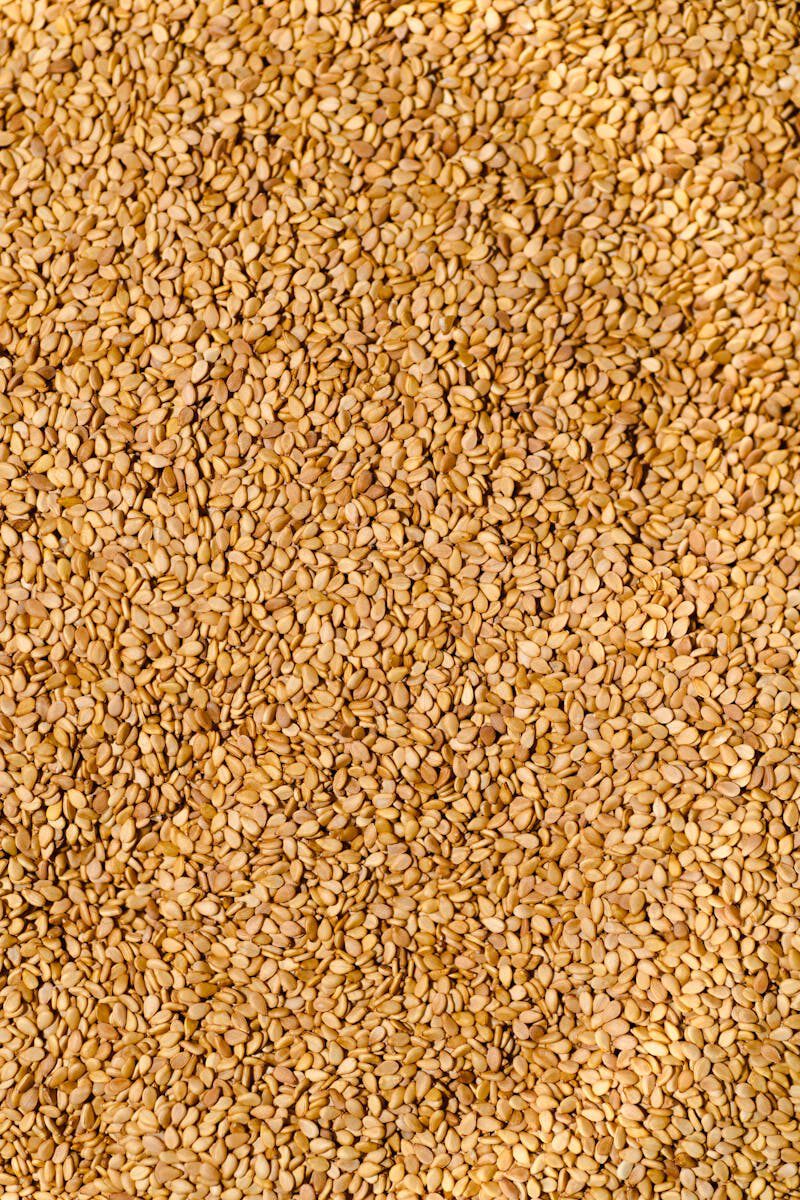 Sesame (Gingelly) Oil