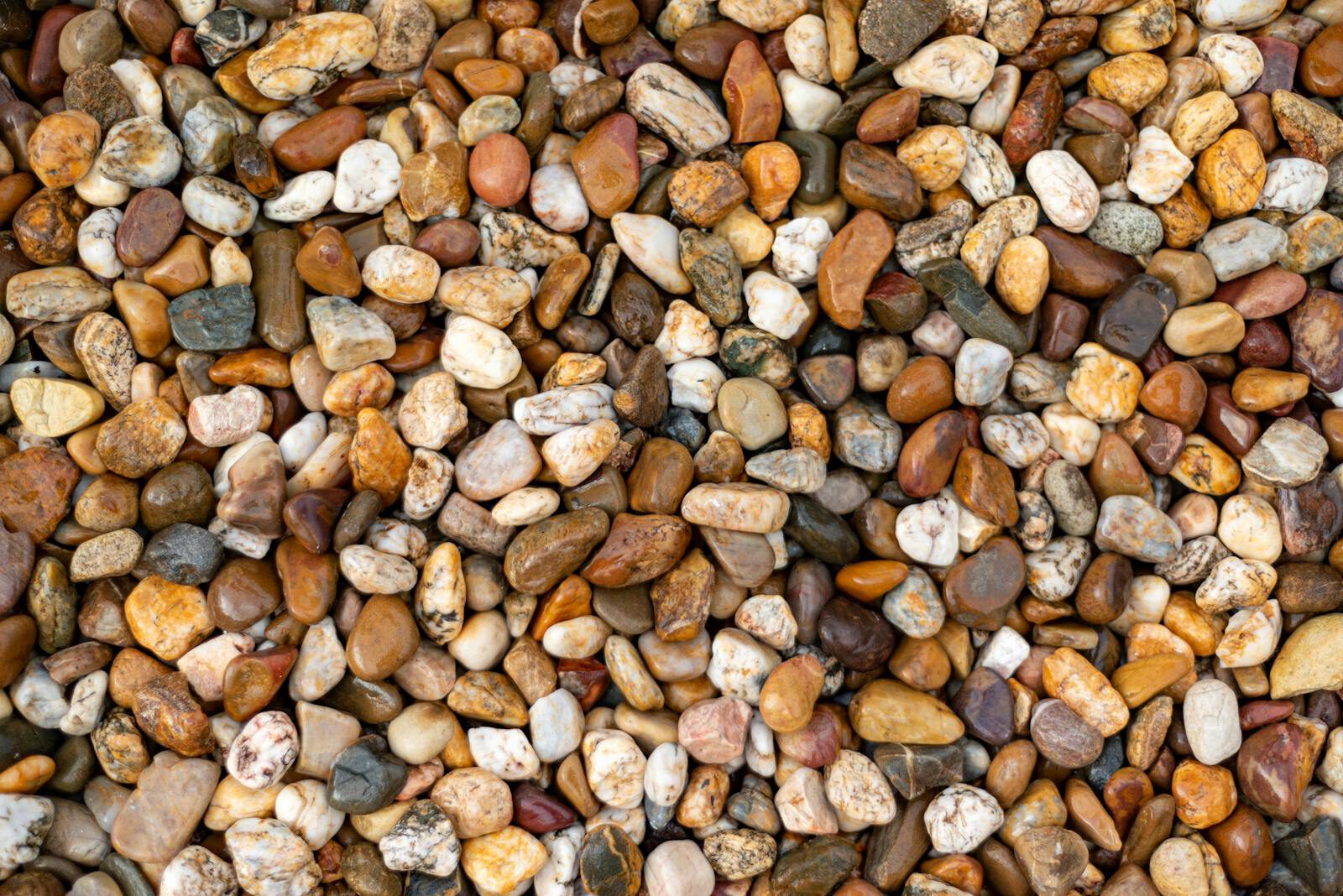 Decorative & Exotic Stone