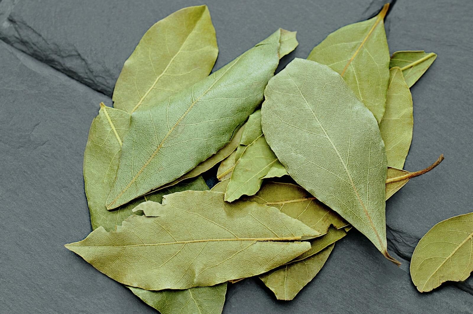 Bay Leaves