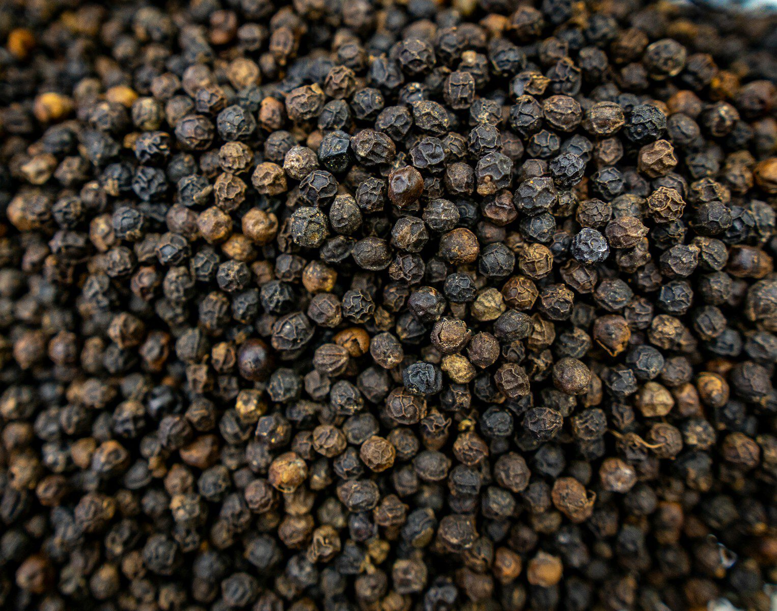 Black Pepper
